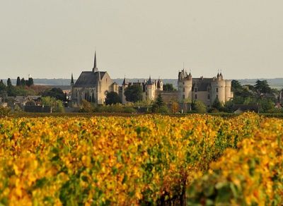 Château de Montreuil Bellay